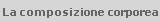 La composizione corporea
